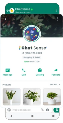 chatsense_whatsapp_marketing_software_catalog_home.png